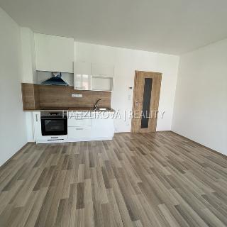 Pronájem bytu 1+kk a garsoniéry 33 m² České Budějovice, 