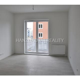 Pronájem bytu 1+kk a garsoniéry 26 m² České Budějovice, U Boru