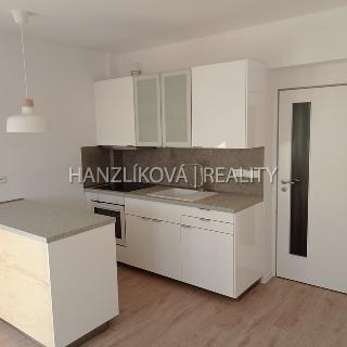 Pronájem bytu 1+kk a garsoniéry 36 m² České Budějovice, Fráni Šrámka