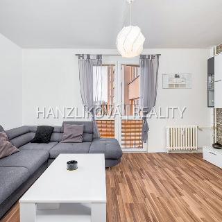 Prodej bytu 3+1 63 m² České Budějovice