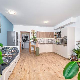 Prodej bytu 1+kk a garsoniéry 35 m² České Budějovice