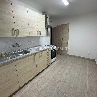 Pronájem bytu 2+1 72 m² České Budějovice, Čéčova