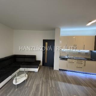 Pronájem bytu 1+kk a garsoniéry 42 m² České Budějovice