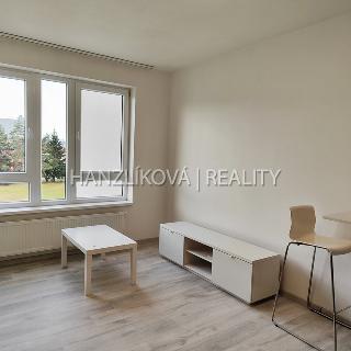 Pronájem bytu 2+kk 40 m² České Budějovice, Lipová