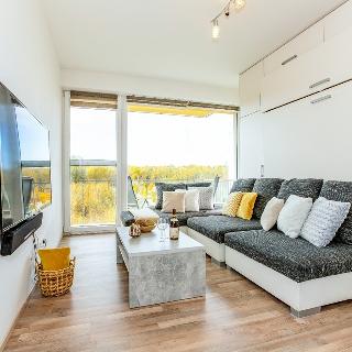 Pronájem bytu 1+kk, garsoniery 38 m² České Budějovice