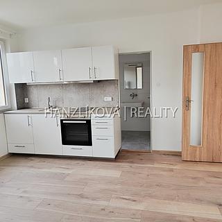 Pronájem bytu 2+kk 42 m² České Budějovice