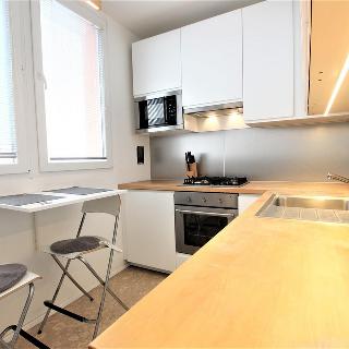 Pronájem bytu 1+1 39 m² Brno, Slavíčkova