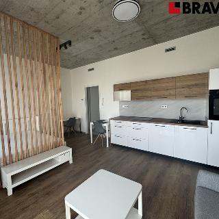 Pronájem bytu 1+kk a garsoniéry 35 m² Brno, 