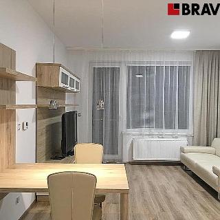 Pronájem bytu 2+kk 50 m² Moravany, 