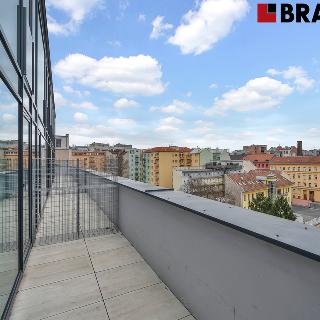 Pronájem bytu 4+kk 95 m² Brno