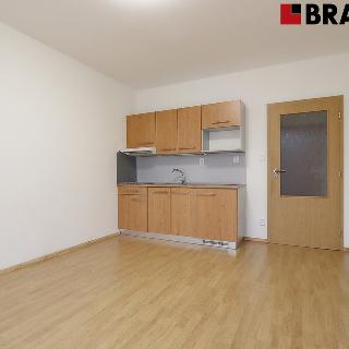 Pronájem bytu 1+kk a garsoniéry 23 m² Brno, Božetěchova