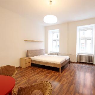 Pronájem bytu 1+kk a garsoniéry 42 m² Brno, Příční