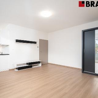 Pronájem bytu 1+kk a garsoniéry 39 m² Brno, Rázusova