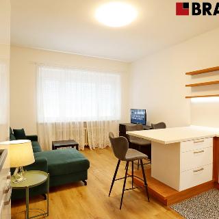 Pronájem bytu 3+kk 76 m² Brno, Pellicova