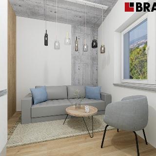 Prodej bytu 1+kk a garsoniéry 33 m² Brno, Bohunická