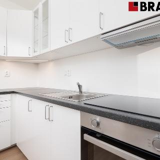 Pronájem bytu 1+kk a garsoniéry 39 m² Brno, Rázusova