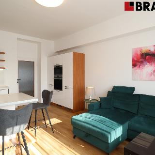 Pronájem bytu 3+kk 76 m² Brno, 