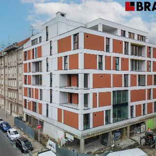 Prodej bytu 1+kk a garsoniéry 30 m² Brno, Auerswaldova