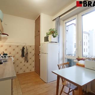 Pronájem bytu 1+1 37 m² Brno, Křídlovická