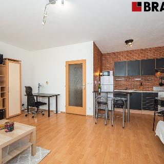 Pronájem bytu 1+kk a garsoniéry 41 m² Brno, Bělohorská