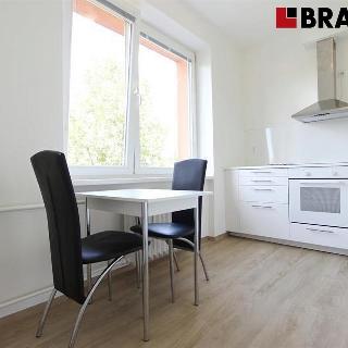 Pronájem bytu 2+1 56 m² Brno, Nové sady