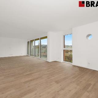 Prodej bytu 1+kk a garsoniéry 35 m² Brno, Auerswaldova