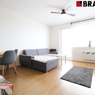 Pronájem bytu 2+kk 49 m² Brno, Bučkova