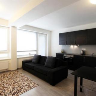 Pronájem bytu 1+kk, garsoniery 32 m² Brno