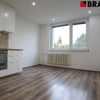 Pronájem bytu 3+kk 57 m² Brno, Mikulčická