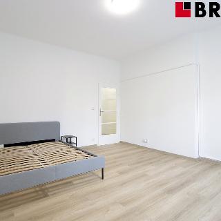 Pronájem bytu 1+1 42 m² Brno, 