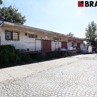 Pronájem výrobního objektu 328 m² Brno, Saidova