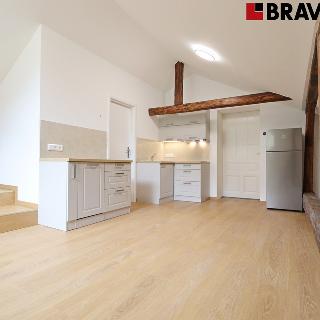 Pronájem bytu 1+kk a garsoniéry 45 m² Brno, 