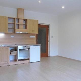 Pronájem bytu 1+kk a garsoniéry 36 m² Brno, Úpatní