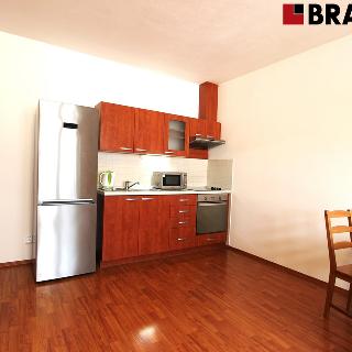 Pronájem bytu 1+kk a garsoniéry 39 m² Brno, Hrázka