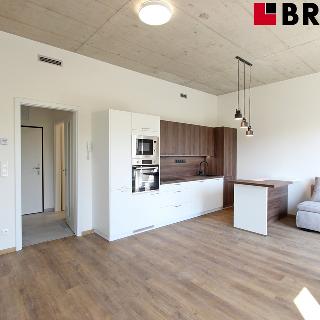 Pronájem bytu 1+kk a garsoniéry 35 m² Brno, Bohunická