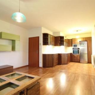 Pronájem bytu 2+kk 55 m² Brno