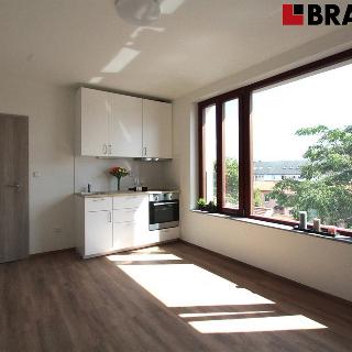 Pronájem bytu 1+kk a garsoniéry 22 m² Brno, Francouzská