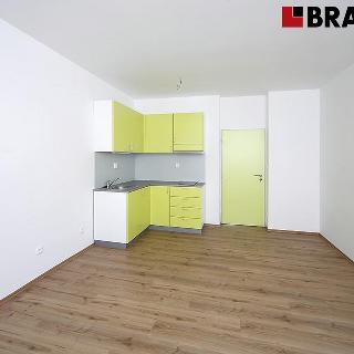 Pronájem bytu 1+kk a garsoniéry 32 m² Brno, Rybářská