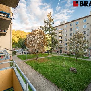 Prodej bytu 3+1 73 m² Brno, Trýbova