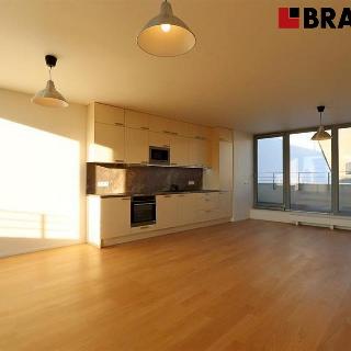 Pronájem bytu 3+kk 113 m² Brno, Mlýnská