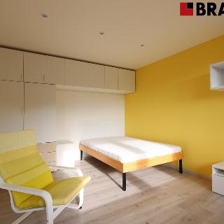 Pronájem bytu 1+1 39 m² Brno, Filipova