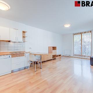 Pronájem bytu 1+kk a garsoniéry 48 m² Brno, Vídeňská