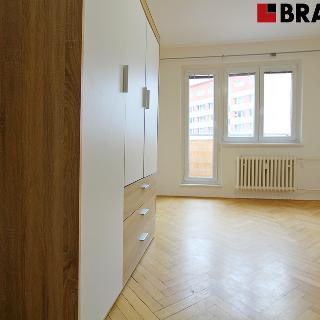 Pronájem bytu 2+1 55 m² Brno, Bieblova