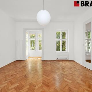 Pronájem bytu 5+1 a více 247 m² Brno, Hilleho