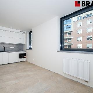 Pronájem bytu 1+kk a garsoniéry 30 m² Brno, Příkop