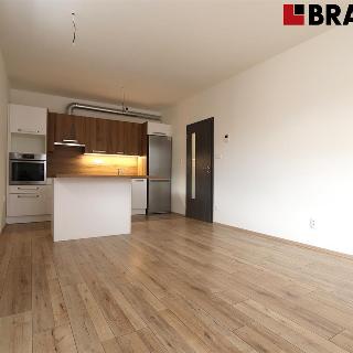 Pronájem bytu 2+kk 46 m² Brno, Novodvorská