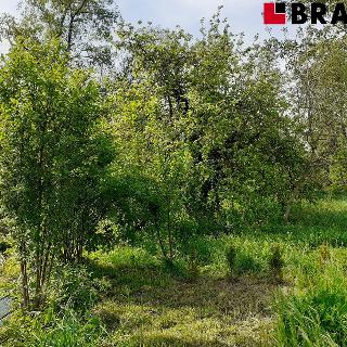 Prodej zahrady 472 m² Rajhrad