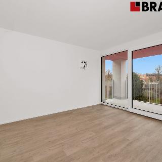 Prodej bytu 1+kk a garsoniéry 28 m² Brno, Auerswaldova