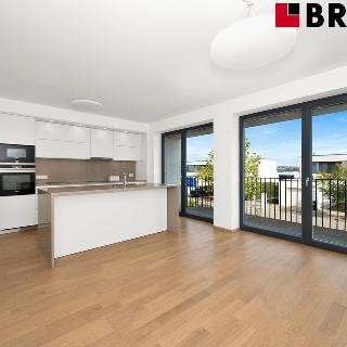 Pronájem rodinného domu 206 m² Brno, K Jelenici