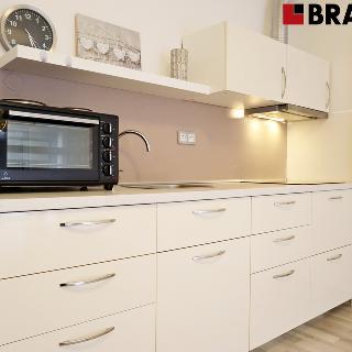 Pronájem bytu 1+kk a garsoniéry 35 m² Moravany, 